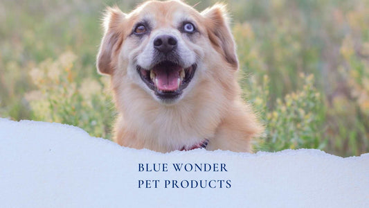 Pet Care Products